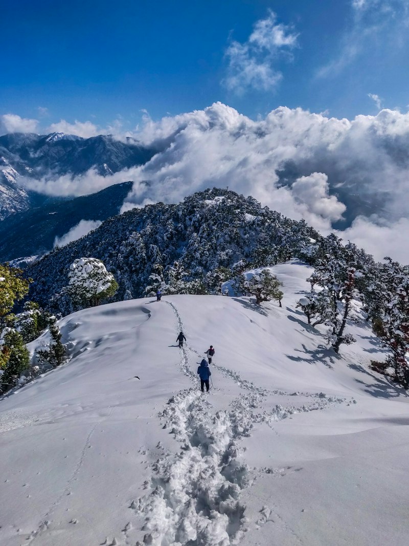 Himachal Package